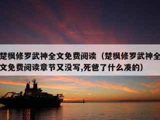 楚枫修罗武神全文免费阅读（楚枫修罗武神全文免费阅读章节又没写,死爸了什么凑的）